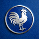 法国国家队队徽 - 高卢雄鸡标志